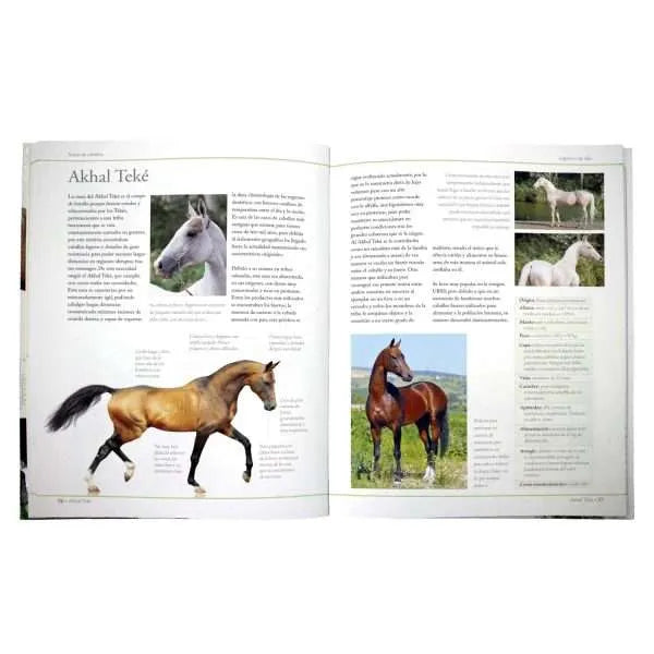Enciclopedia de las Razas de los Caballos