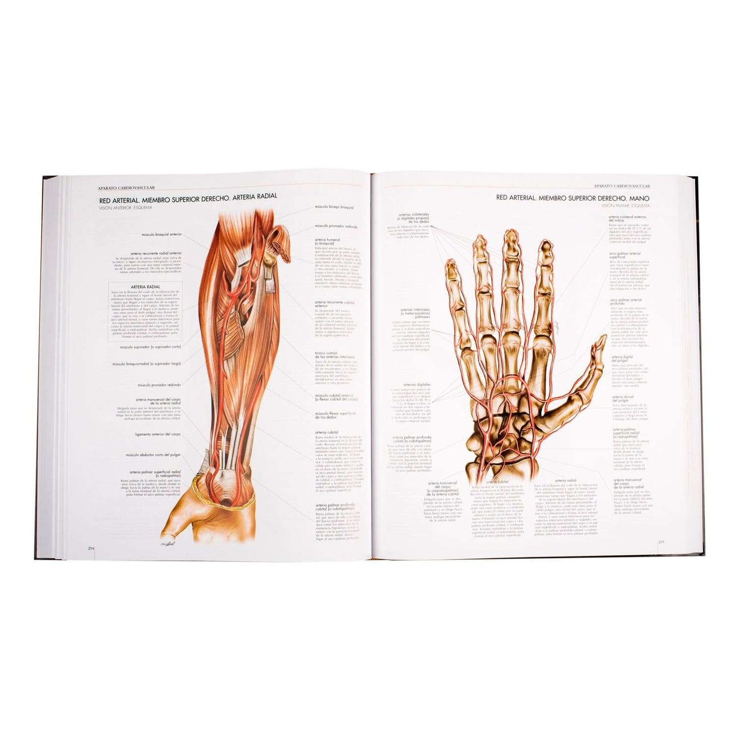 Atlas Del Cuerpo Humano 1 Tomo
