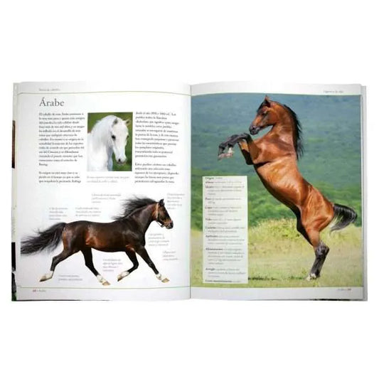 Enciclopedia de las Razas de los Caballos